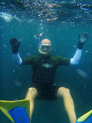 Channel Islands Snorkeling