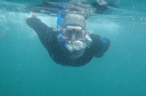 Channel Islands Snorkeling Trip