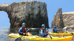 kayak tours and rentls