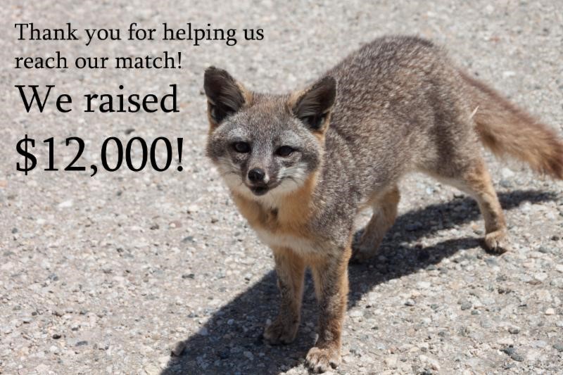 Donated to Channel Islands Restoration