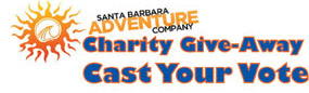 Charity Give-Away Cast Your Vote