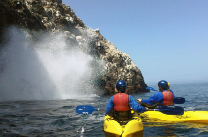 Spring at Channel Islands