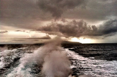 Spring at Channel Islands santa barbara