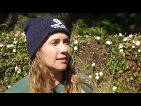 Exploring the Channel Islands with Kayak Guide Aubrie Fowler