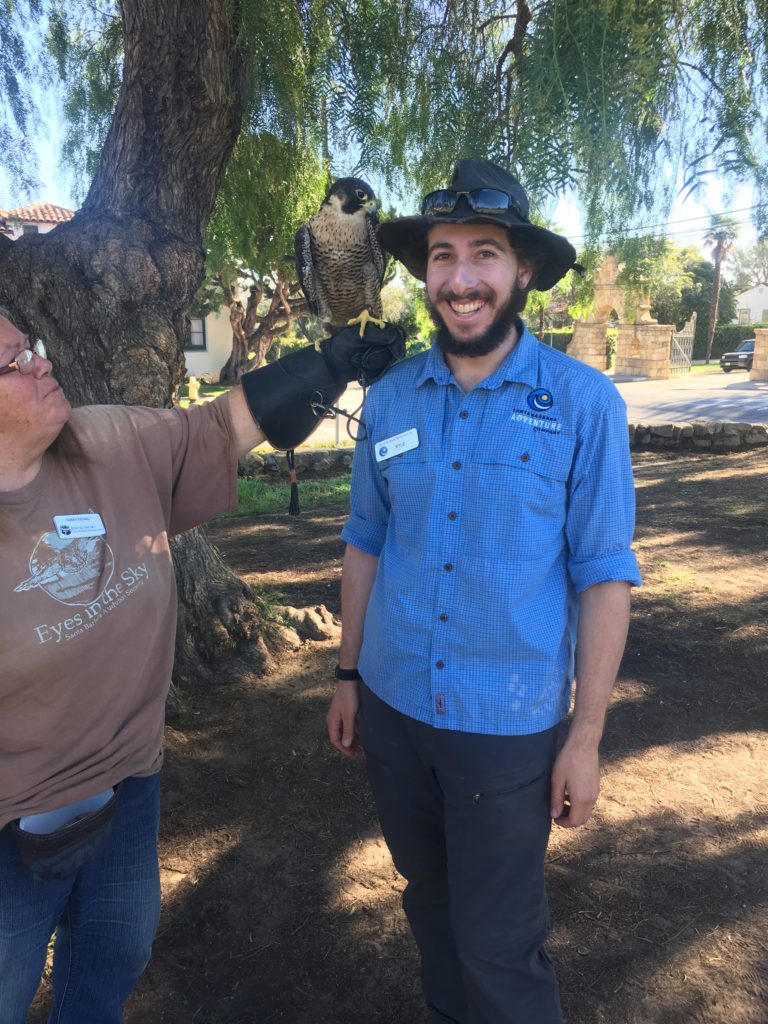 guide with a hawk on his shoulder