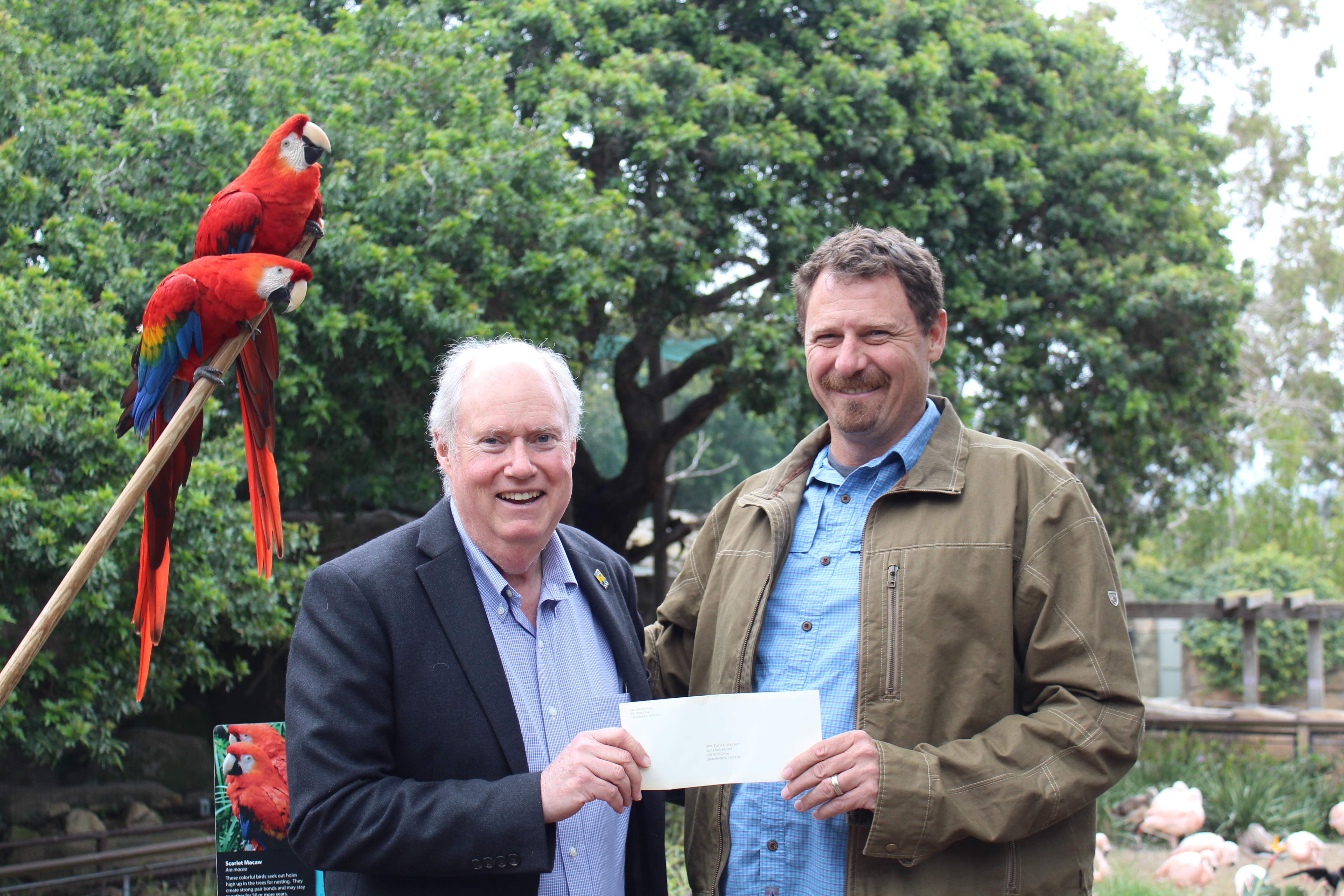 Supporting the Koala Exhibit at the Santa Barbara Zoo