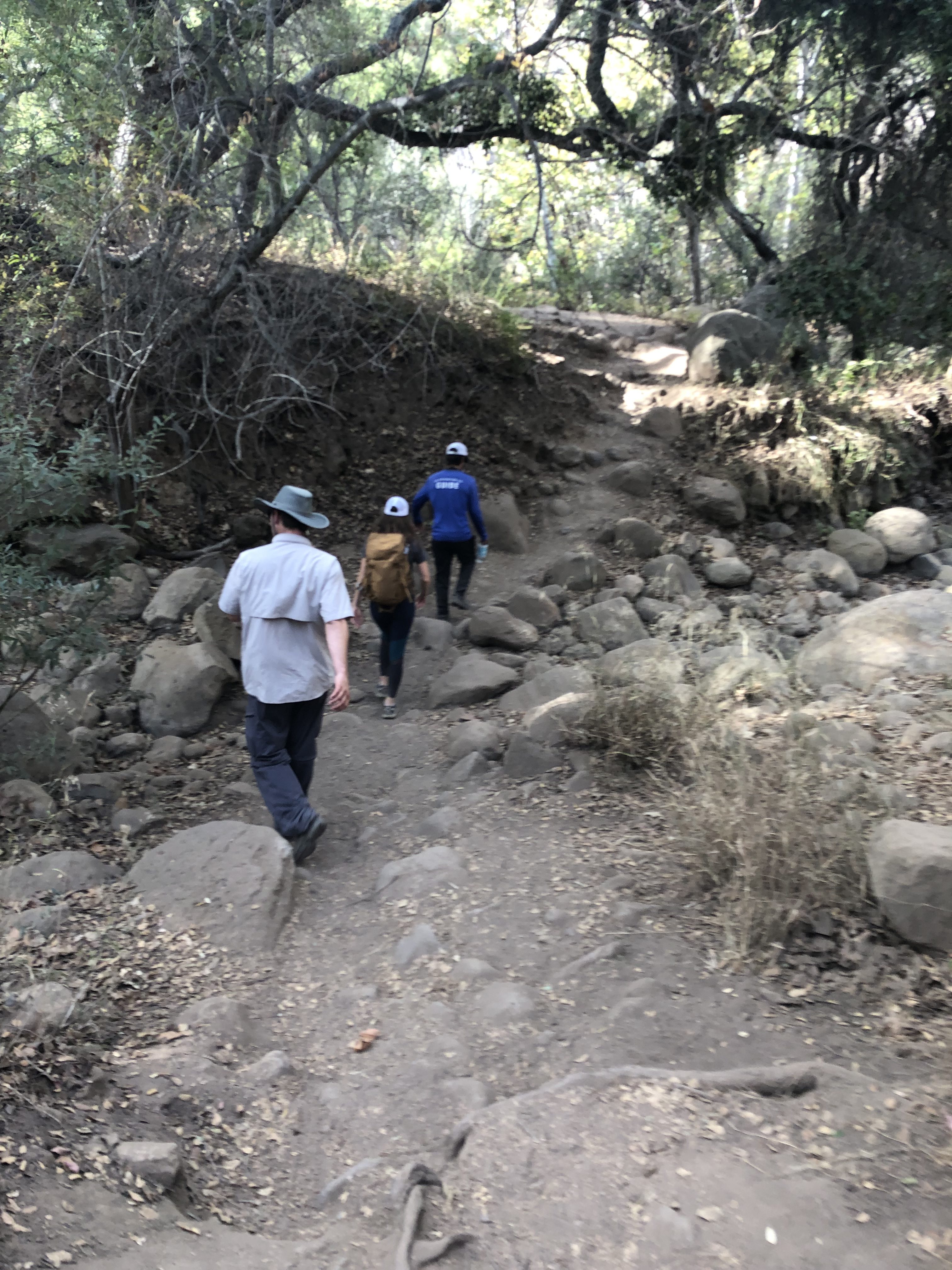 A Service Day with Teva 