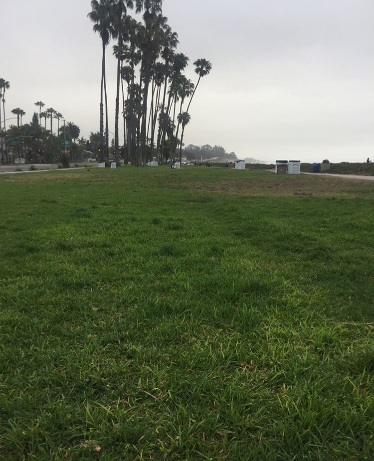 Fourth of July Beachfront Cleanup sb