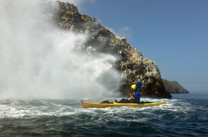 Spring at Channel Islands