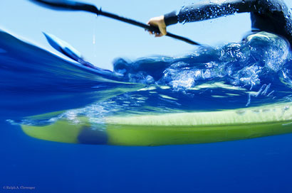 underwater photography