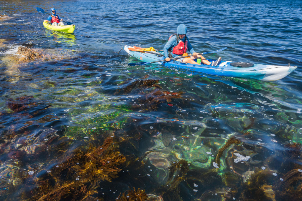 Clear waters on the Prisoners Harbor Kayak Tour.