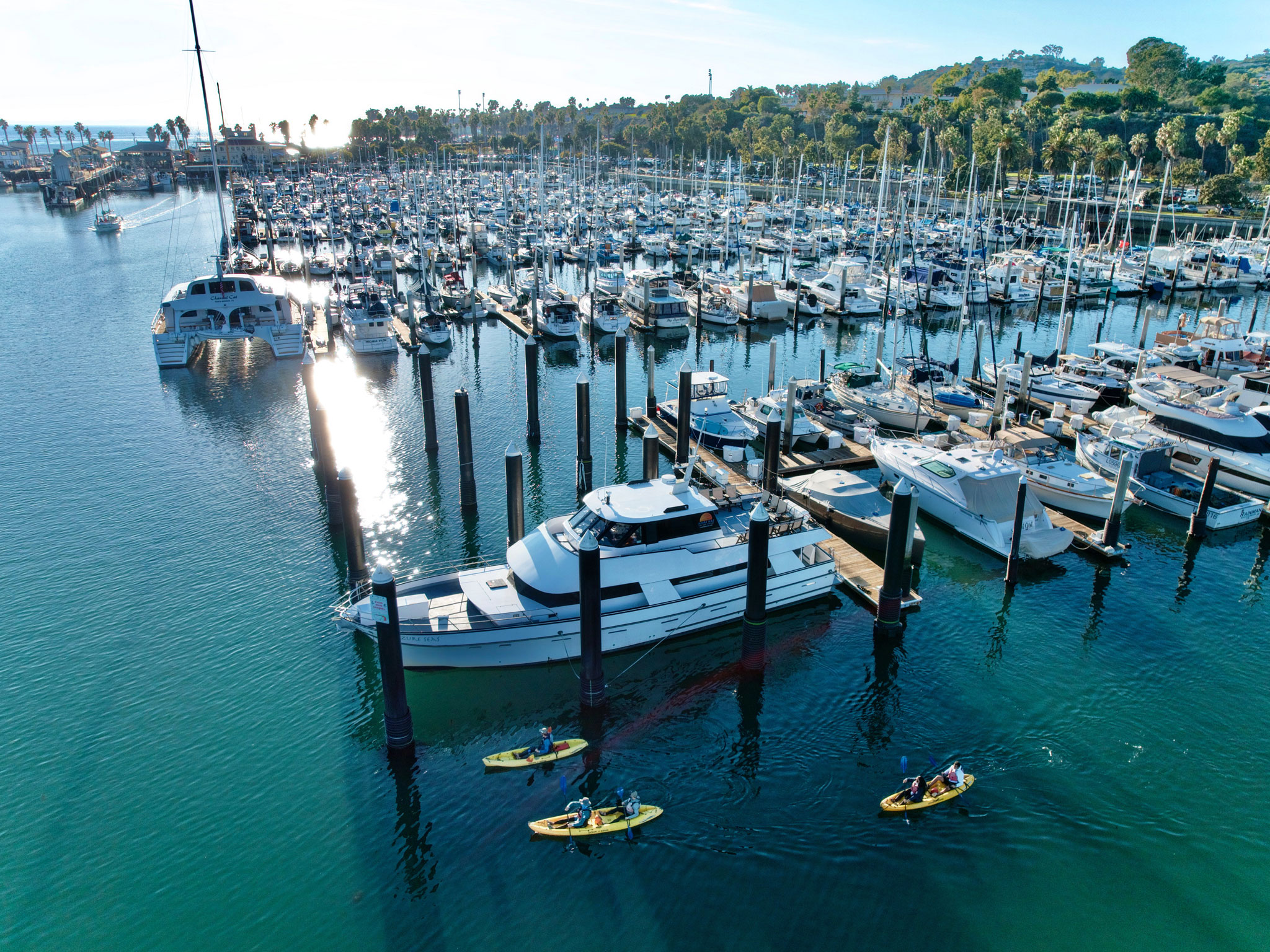 Drone shot of Santa Barbara Adventure Company's Harbor Wildlife Kayak Tour