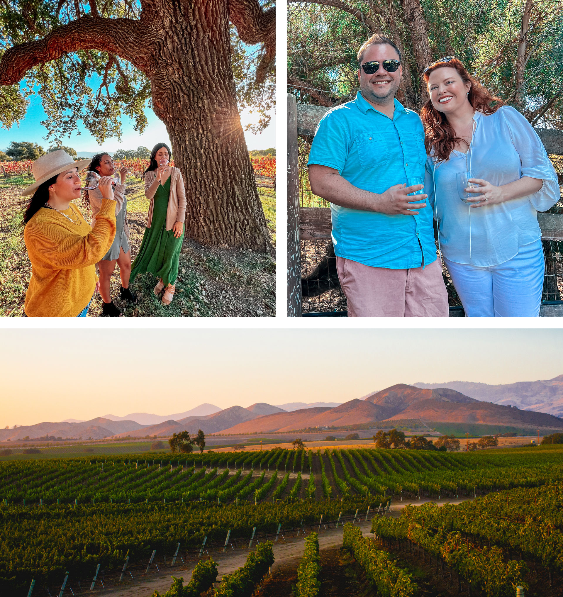 santa ynez tour