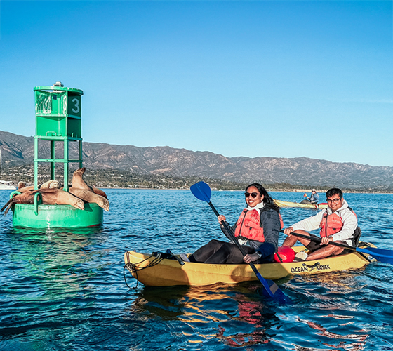 Harbor Wildlife Kayak Tour