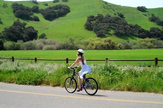 Wine Tasting and biking